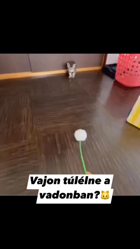 #VK1757715144