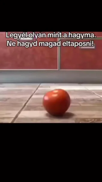 #VK1757792398