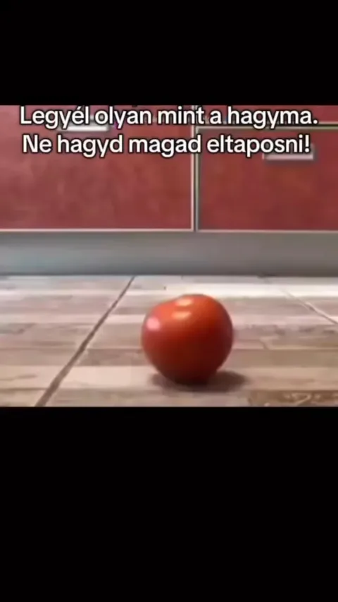 #VK1757792398