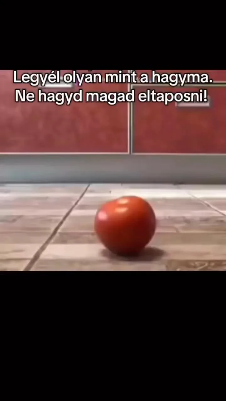 #VK1757792398 #VK1757792398