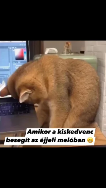 #VK1757799887