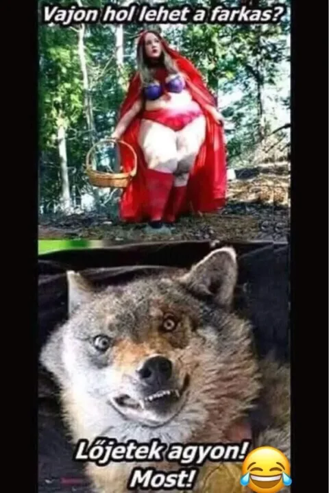 #VK1757928534