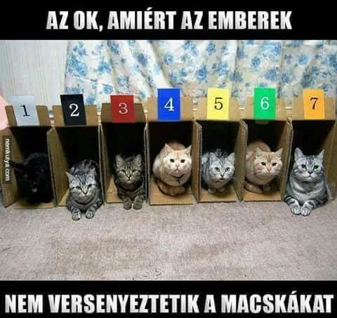 #VK1758012362 #VK1758012362