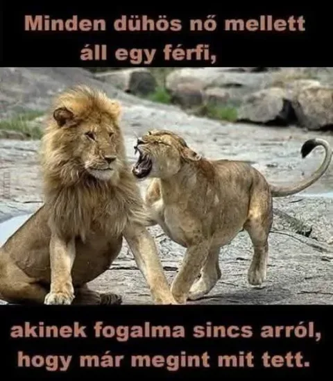 #VK1758022203