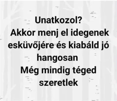 #VK1758146623