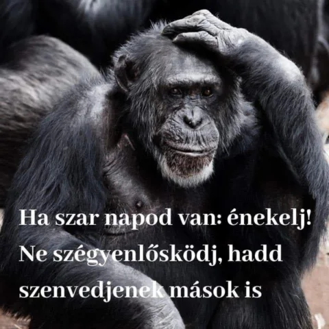 #VK1758223805 #VK1758223805