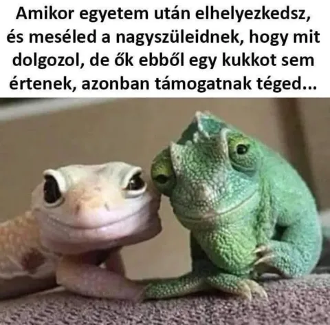 Amikor egyetem után elhelyezkedsz, és meséled a nagyszüleidnek, hogy mit dolgozol...