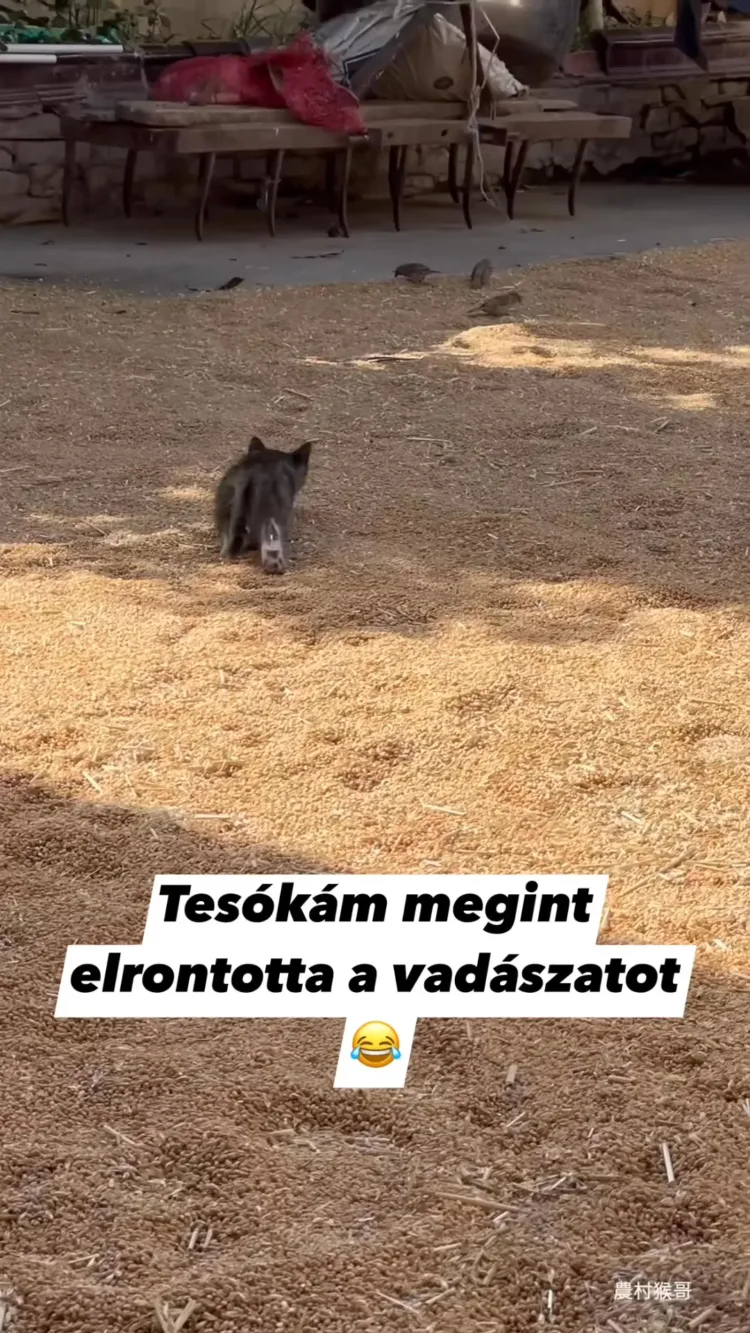 #VK1758366874 #VK1758366874