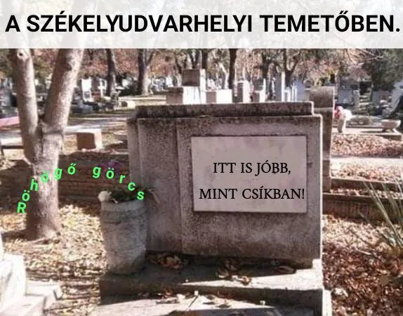 #VK1758441797