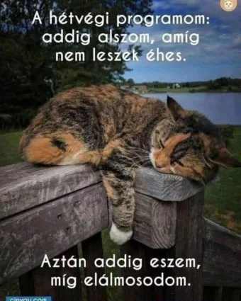 #VK1758454207