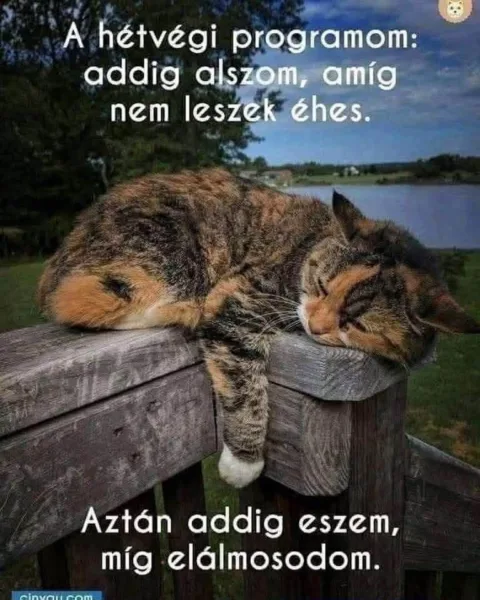 #VK1758454207