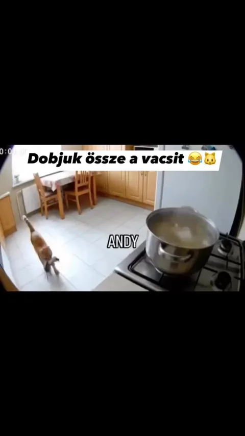 #VK1758457821