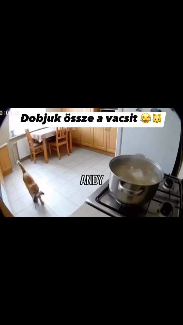 #VK1758457821 #VK1758457821