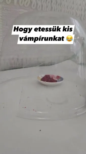 #VK1758458880