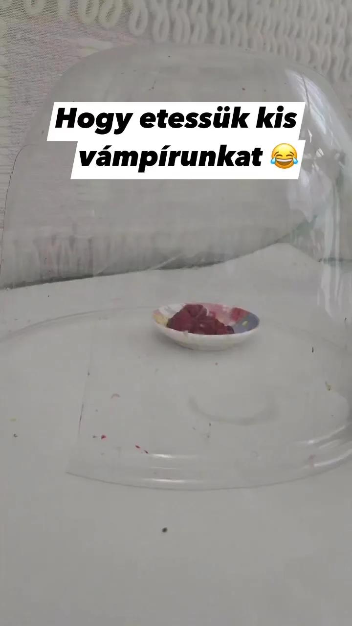#VK1758458880 #VK1758458880