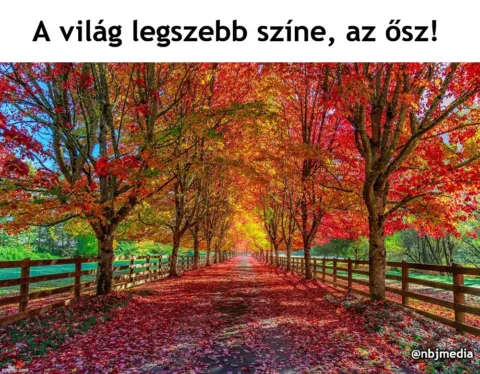 #VK1758544143