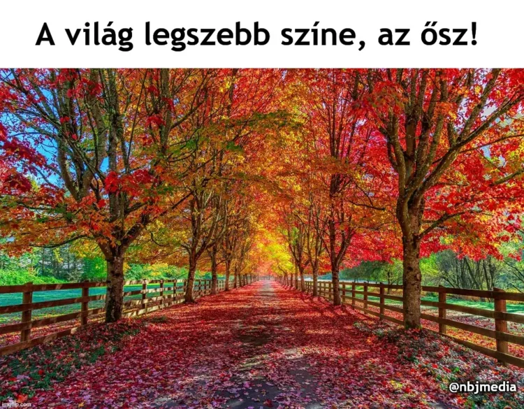#VK1758544143 #VK1758544143