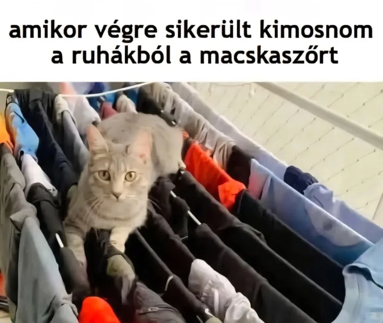 #VK1758669169 #VK1758669169