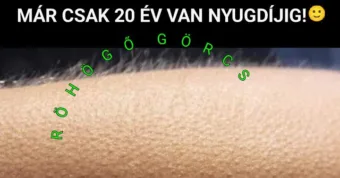 #VK1758693351