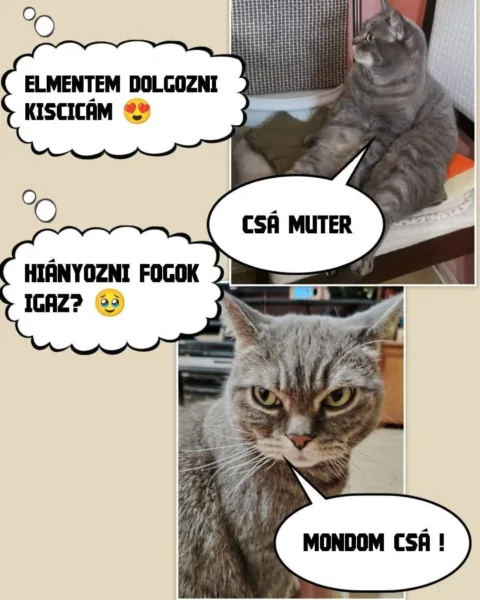 #VK1758693628