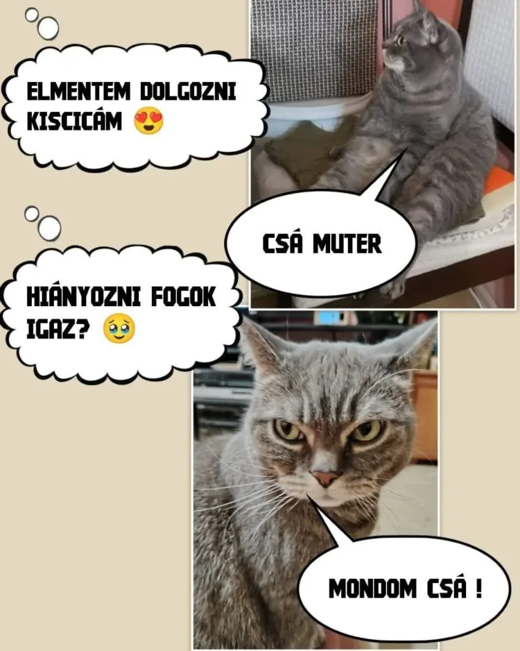 #VK1758693628 #VK1758693628