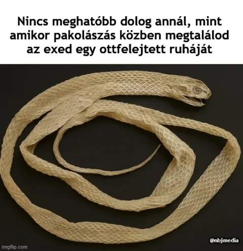 #VK1758732636