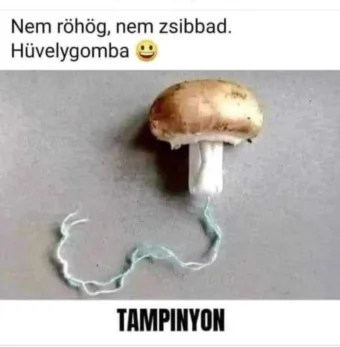 #VK1758740454
