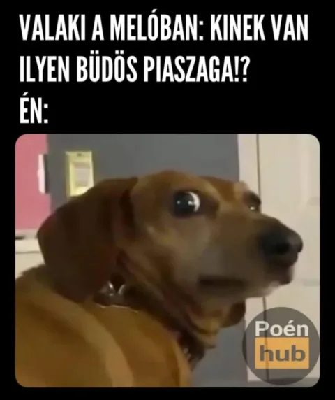 #VK1758832877