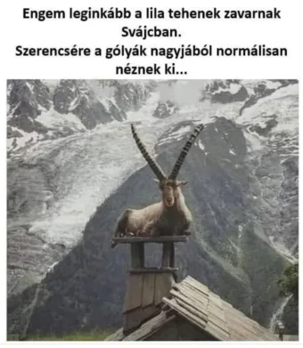 #VK1758902442