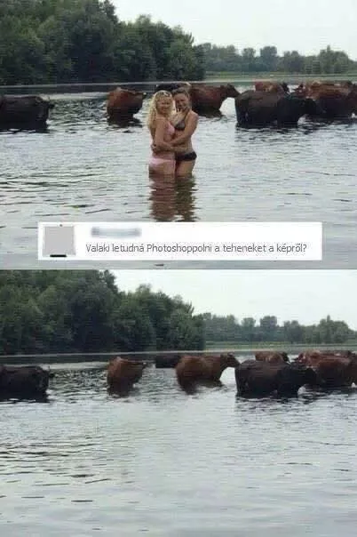 #VK1758910573