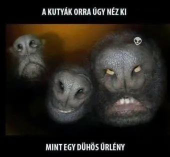 #VK1758968675