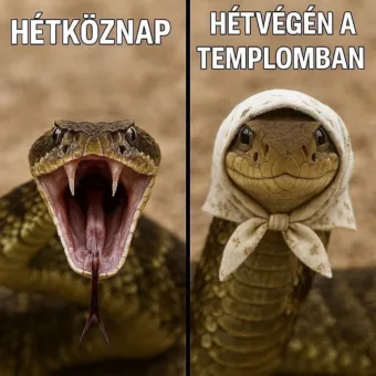 #VK1759003107