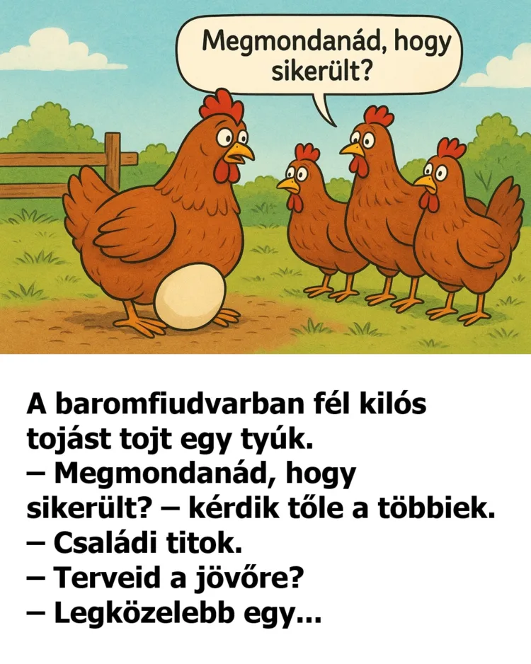Vicc: A baromfiudvarban fél kilós tojást tojt egy tyúk
