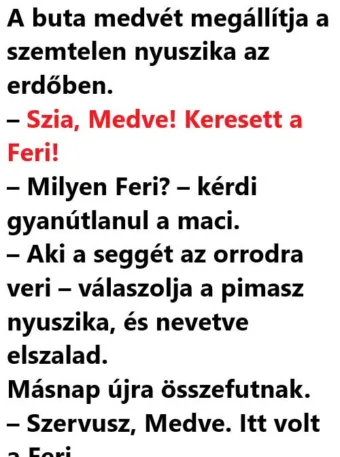 Vicc: A buta medvét megállítja a szemtelen nyuszika az erdőben
