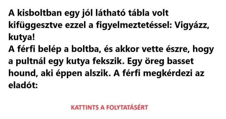 Vicc: A férfi egy fekvő kutyára lesz figyelmes a kisboltban
