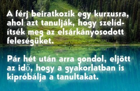 Vicc: A férj beiratkozik egy tanfolyamra, ahol azt tanulják, hogy szelídítsék…