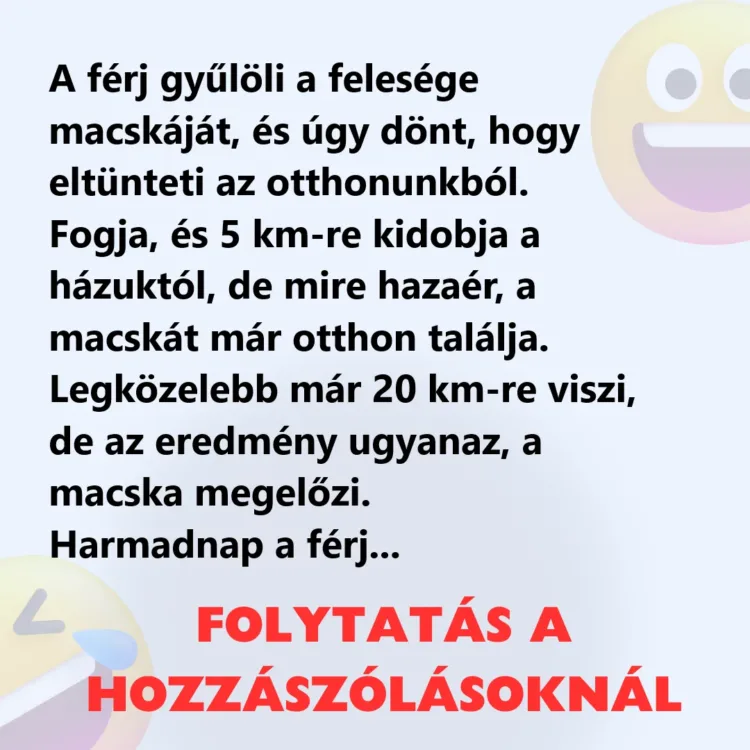 Vicc: A férj gyűlöli a felesége macskáját és el akarja Vicc: A férj gyűlöli a felesége macskáját és el akarja tüntetni