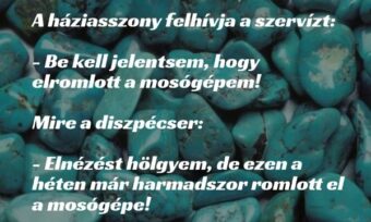 Vicc: A háziasszony felhívja a szervízt: Be kell jelentsem, hogy elromlott a…