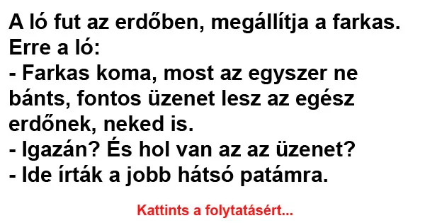 Vicc: A ló fut az erdőben, megállítja a farkas