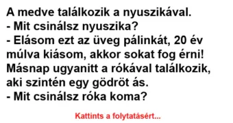Vicc: A medve találkozik a nyuszikával