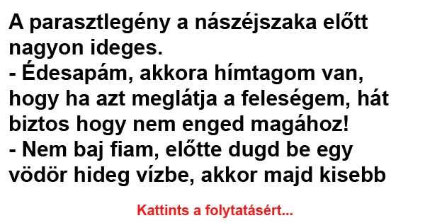 Vicc: A parasztlegény a nászéjszaka előtt