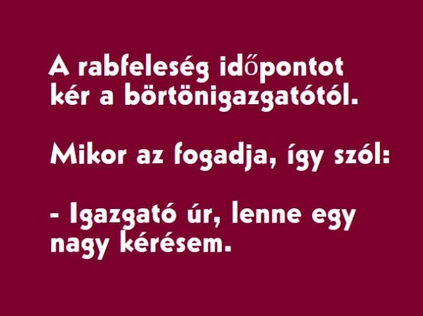 Vicc: A rabfeleség időpontot kér a börtönigazgatótól Vicc: A rabfeleség időpontot kér a börtönigazgatótól
