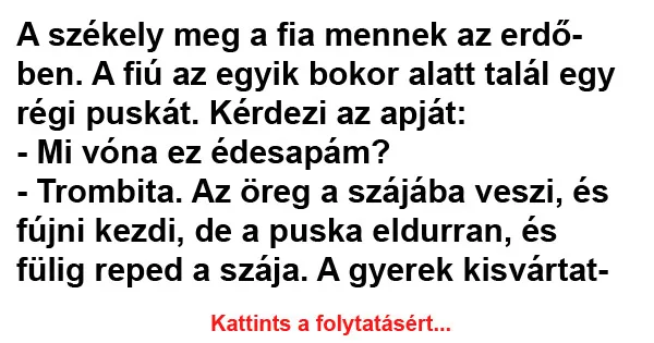 Vicc: A székely meg a fia mennek az erdőben
