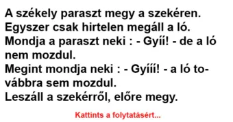 Vicc: A székely paraszt megy a szekéren