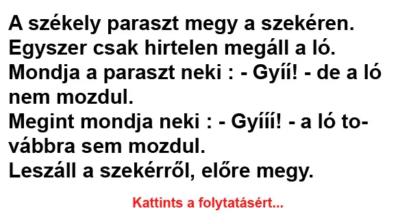 Vicc: A székely paraszt megy a szekéren Vicc: A székely paraszt megy a szekéren