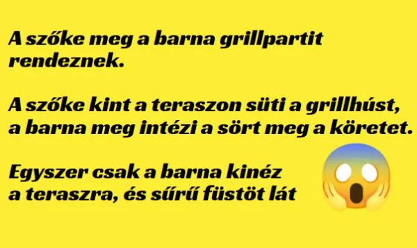 Vicc: A szőke meg a barna grillpartit rendeznek