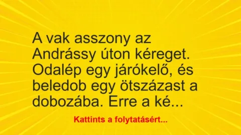 Vicc: A vak asszony az Andrássy úton kéreget. Odalép egy járókelő…
