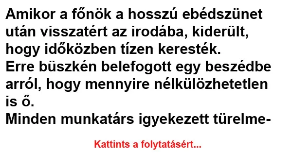 Vicc: Amikor a főnök a hosszú ebédszünet után
