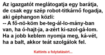 Vicc: Az igazgatót meglátogatja egy barátja, de csak egy szép robot-titkárnő fogadja,…