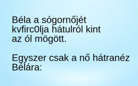 Vicc: Béla a sógornőjét az ól mögött